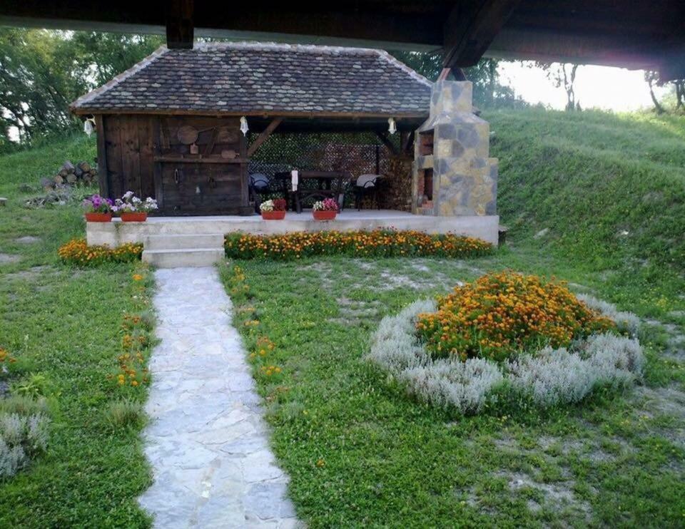 Holiday Home Rodjak Sa Sela Mionica Dış mekan fotoğraf